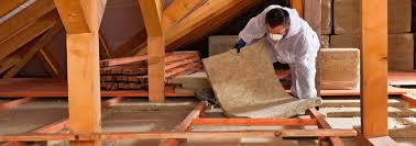 Best Crawl Space Insulation  in Fallon, NV