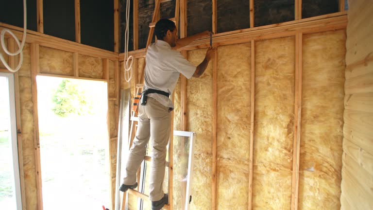 Eco-Friendly or Green Insulation Solutions in Fallon, NV