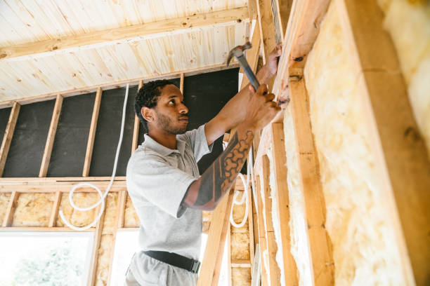 Best Attic Insulation Installation  in Fallon, NV